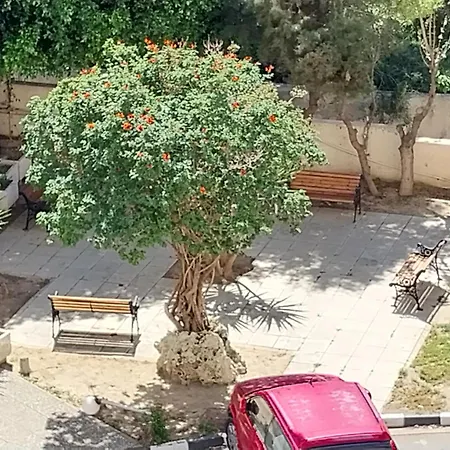 아파트 Mikis's Seagate Aprt.